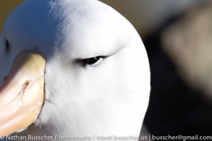 2011 Antarctica Expedition